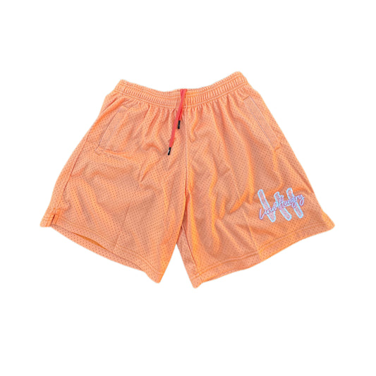 LH MESH SHORTS - PEACH/PINK