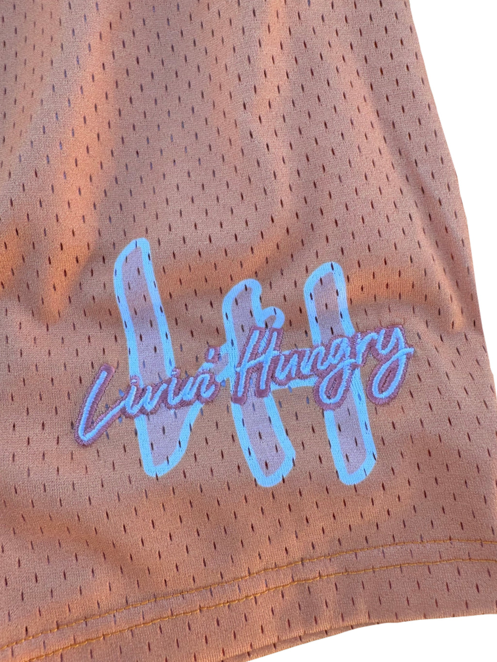 LIVIN’ HUNGRY PEACH MESH SHORTS